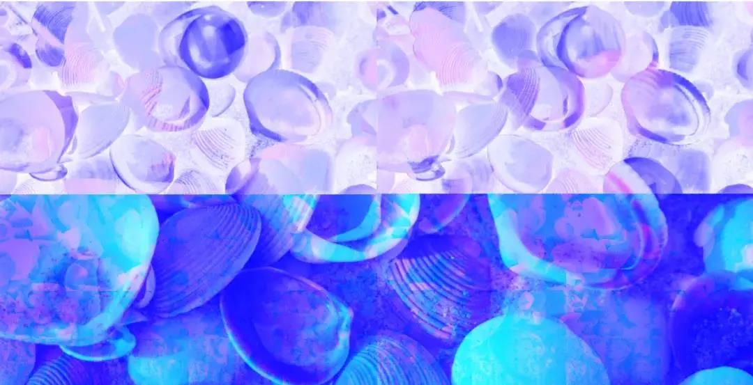 Huntress在1900台Exchange检测到140多种Web shell.jpg Huntress在1900台Exchange检测到140多种Web shell.jpg