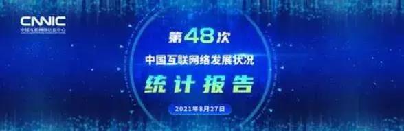 CNNIC发布第48次《中国互联网络发展状况统计报告》.jpg CNNIC发布第48次《中国互联网络发展状况统计报告》.jpg