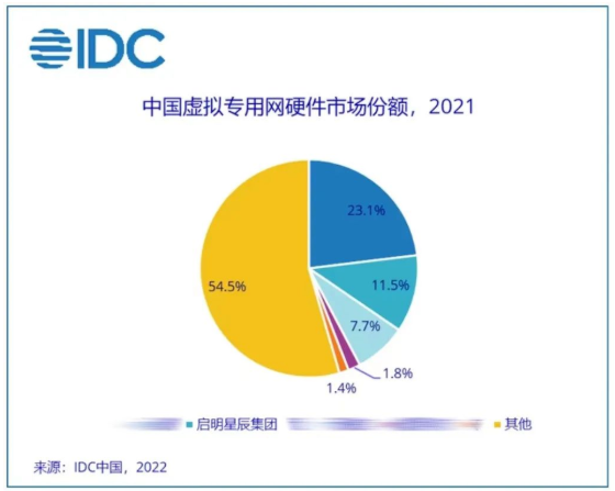 2021年VPN产品领航国际市场份额占比.png